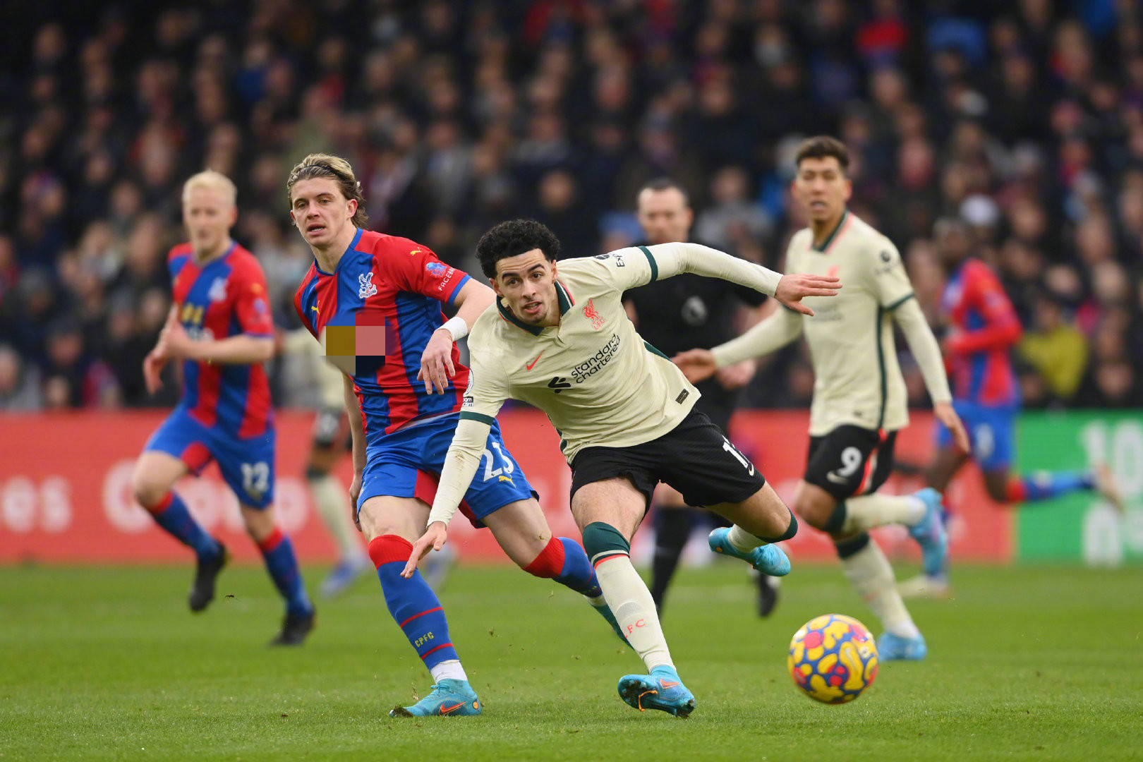 球如此特别 球如此特别